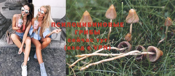 экстази Алексеевка
