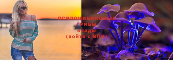 бутират Алзамай