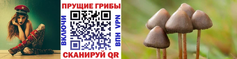 Галлюциногенные грибы Magic Shrooms  где купить наркотик  Шали 